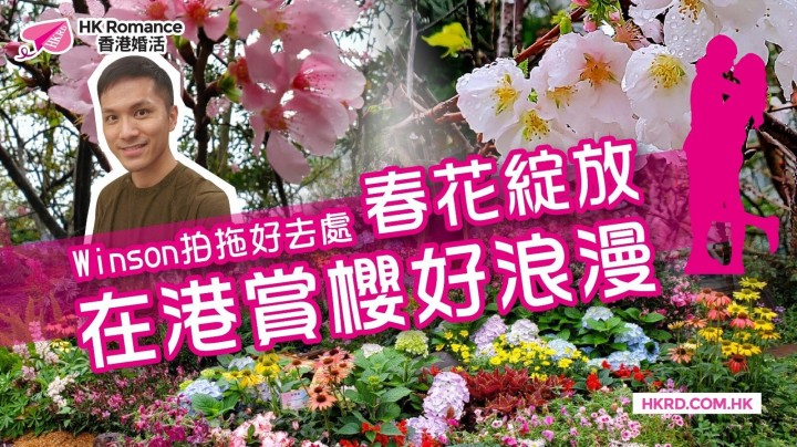 愛情分享 - 【Winson拍拖好去處】春花綻放 在港賞櫻好浪漫 - HK Romance Dating | Speed Dating Hong Kong - matching 、配對 、約會 、 交友、結識異性專家
